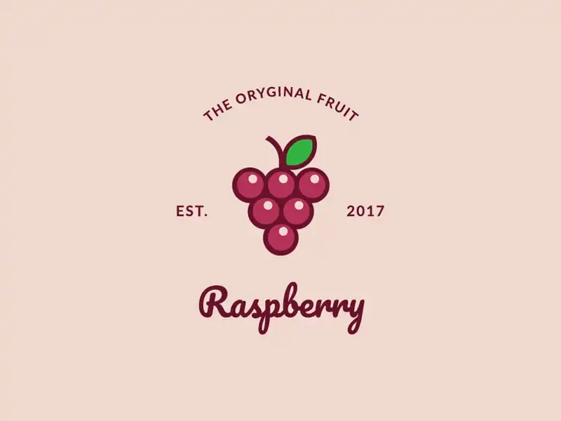 The-Oryginal-Fruit-Raspberry-by-Design-Pros-USA
