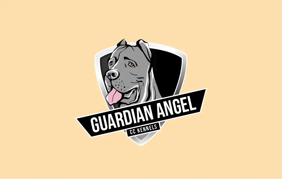 Guardian-Angel-by-Design-Pros-USA